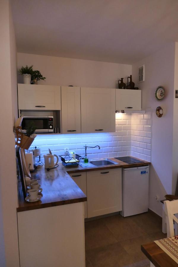 Apartament Wedrowiec コシチェリスコ エクステリア 写真